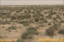 StarWars - Chott El Jerid - 066