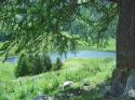 Vorheriges Bild
