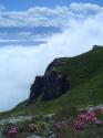Vorheriges Bild