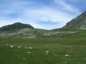 Vorheriges Bild