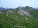 Vorheriges Bild
