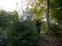 Nchstes Bild