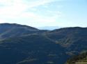 moux2008 100.jpg