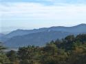 moux2008 109.jpg