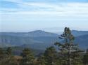 moux2008 110.jpg