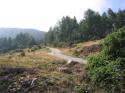 Vorheriges Bild