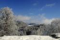 Vorheriges Bild