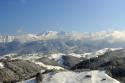 Vorheriges Bild