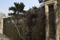 Bukarest-20090215-1309-01.jpg