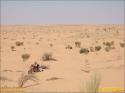 nach Ksar Ghilane - 011