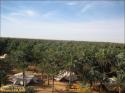 Ruhetag Ksar Ghilane - 003