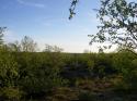 Vorheriges Bild