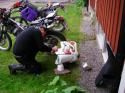 Vorheriges Bild
