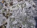 Vorheriges Bild