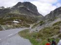 Vorheriges Bild